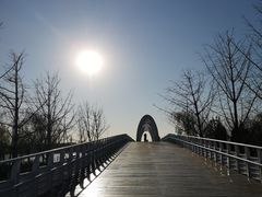 -大兴滨河森林公园