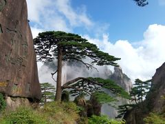 -黄山风景区