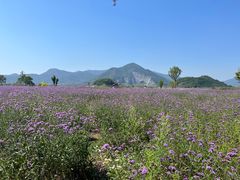 -杭州灵山景区