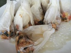 纸包豆腐-天回镇何氏豆腐(总店)