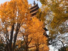 -常熟方塔园