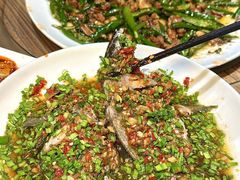 -老号尤兔头(幸福店)