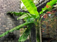 -万达影城(银兴菲林店)