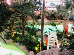 -杭州开元森泊度假乐园