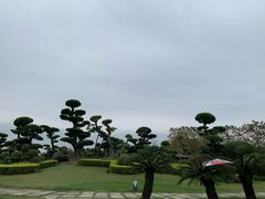 -南宁南湖公园