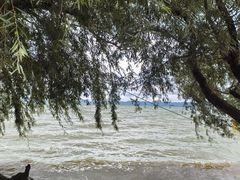 -捞渔河湿地公园