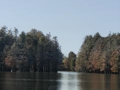-池杉湖湿地公园