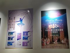 -中央芭蕾舞团·中芭艺蕾(酒仙桥明星校区)