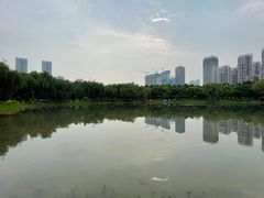 -堤角公园