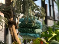 -北马山庄植趣咖啡