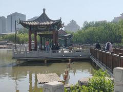 -莲花池公园
