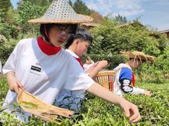 -瓷天下海丝谷