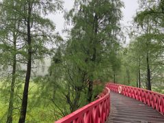 -深圳东部华侨城茵特拉根酒店