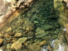 -桐君山春江扬帆码头