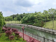 -眉山湿地公园(东坡区)