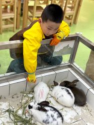 -萌宠家互动乐园