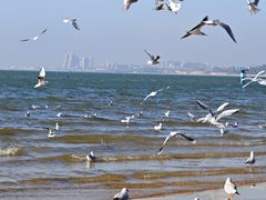 -老虎石海上公园