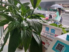 -汪喵宠物医院·骨科心脏影像·犬猫急重症ICU诊疗中心(成华分院)