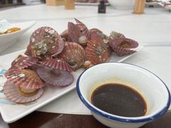 小扇贝-常家活海鲜小吃(仅一家无分店)