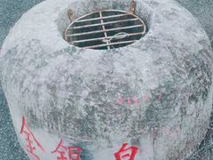 -金银湖国家城市湿地公园
