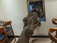 -树厨贵州菜(大十字店)