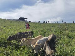 -新疆那拉提国家旅游度假区