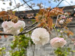 -广富林郊野公园