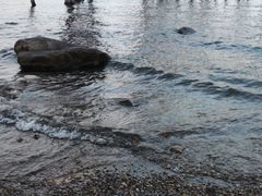 -洱海月湿地公园