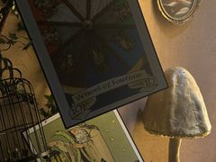 -雪灵魔法世界SHELLY’S TAROT(大良桂畔里店)