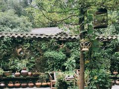 -青城甲(青城山店)