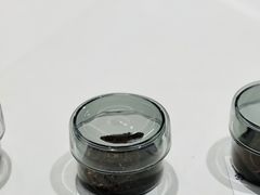 -科学家咖啡(恒隆广场店)