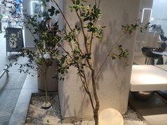 -喜茶(中山利和新地店)