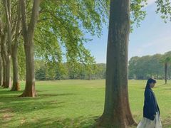 -河南省黄河迎宾馆