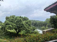 -福建鲤鱼洲酒店
