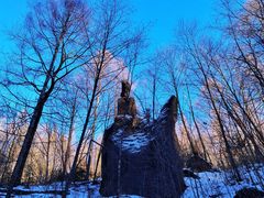 -峡谷浮石林景区