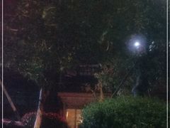 -海玥荟海鲜姿造自助餐厅(欧罗巴广场店)