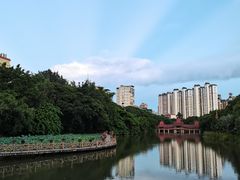 -曼听御花园