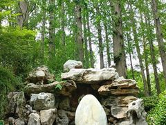 -上海醉白池公园