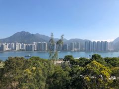 -大埔公路-马料水段香港中文大学(公交站)