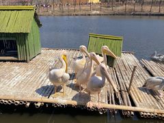 -沈阳森林动物园