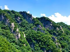 -王顺山国家森林公园