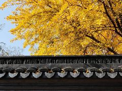 -西园戒幢律寺