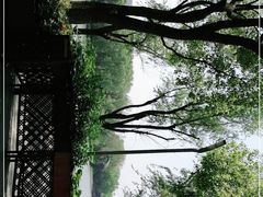 -昆山城市生态森林公园