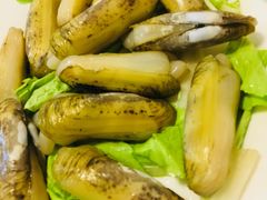 -金砂阿洲鱼册店