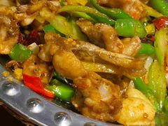 -金雨烧烤(新城南都店)