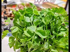 -浩爷羊蝎子火锅(望京店)