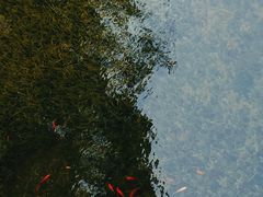 -烈士陵园(地铁站)