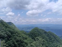 -栾川竹海野生动物园