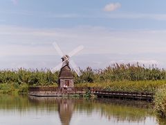 -宁波杭州湾国家湿地公园