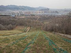 -原山国家森林公园